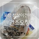 영덕 당일바리 포항 참살이건어물 반건조오징어 후기