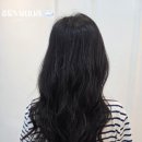 미씨헤어 - 달서구 | 미씨헤어