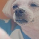 종일식품 - 김해시 | 종일식품