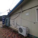 발랑낚시터 | 경기도 파주시 발랑낚시터 낚시 후기