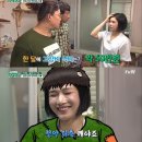 달고양이 이미지