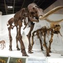 매머드PC 이미지