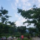 데미샘빌리지펜션2 이미지