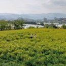 성주성산동고분군전시관 이미지