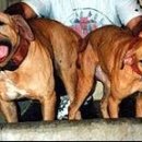 메이데이 이미지