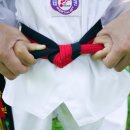 세기태권도전문체육관 이미지