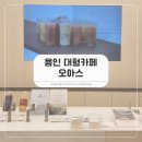 용인 수지 고기리 대형카페, 오아스(oaas) 아이랑 가족 단위 방문