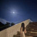 SIE 시에 8월의 드레스 블랙, 스킨베이지 착용후기