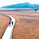 인심이네 이미지