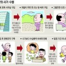 올바른기획 네이버블로그