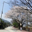 춘향골밥상 | 넌 내게 반했어