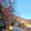 유평 마을회관 이미지