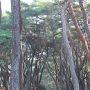 남산터미널 앞 이미지