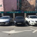 MBS(엠비에스) | 시로코 알라인, 알범퍼 교체 후기(어이없는 MBS 모터스)