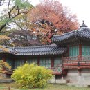 비-원 이미지