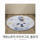 아이러그유 이미지