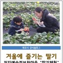 耽羅地圖幷序(탐라지도병서) | 저지정보화 마을, 겨울 딸기체험 운영