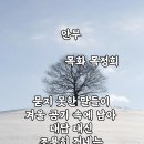 목화 이미지