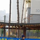 솔밭마을 Daum카페