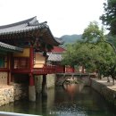 송광사 Daum카페