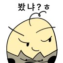 문화이야기