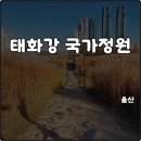 대숲여행 | 울산 태화강 국가정원 주차장 꿀팁 십리대숲 힐링 충전 여행코스