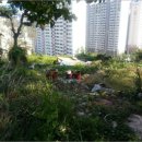 완월동140 이미지