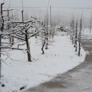 대호2농장 이미지