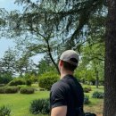 우리덤프 이미지