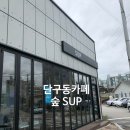 숲(SUP) 이미지