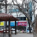 비누꽁주