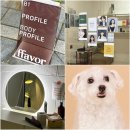 [ 신림 사진관 ] &#39;스튜디오페이버 ffavor&#39; (증명사진, 프로필, 증멍사진🐶)