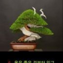 명심보감 이미지