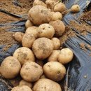 운정농장 이미지