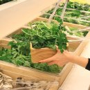 서현로 | 판교 샤브올데이 분당서현점 샐러드바 메뉴 주말 방문 후기 토마토탕 추천