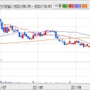 아미노로직스 주가 변동이 심하네요 이미지