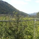 백담소나무계곡펜션 이미지