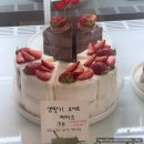 원도안로 | 대전 도안동 카페 생딸기 요거트 케이크 맛있는 유사