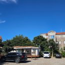 월드캣 | 태교여행 제주도 서귀포 캣월드 후기 <내돈내산>