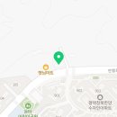 용인대 푸르미르 태권도 이미지