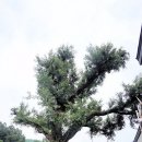 속리마을회관 이미지