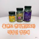 마에스트로 B.H.C | 홀랜드앤바렛(H&amp;B) 종합비타민, 밀크씨슬,비타민D 직장인 필수 영양제 후기