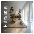 아차실지 | 전시와 식물이 있는 서울 데이트 코스 수서 카페 식물관PH (입장료, 주차) 솔직 후기
