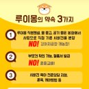 시바견 분양 루이몽 강남본점 네이버블로그