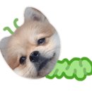 글라스바바안경 수원정자점 이미지