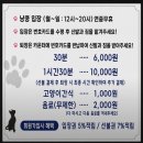 미냥이 | 수원 고양이카페 추천 | 냥보고심쿵 방문 후기
