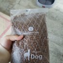 임곡보건진료소 | 강릉 애견호텔 힐링하개 방문후기~!