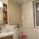 올리브2 이미지