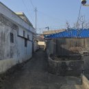 제도리