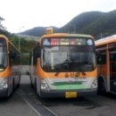 주정차단속-127 이미지